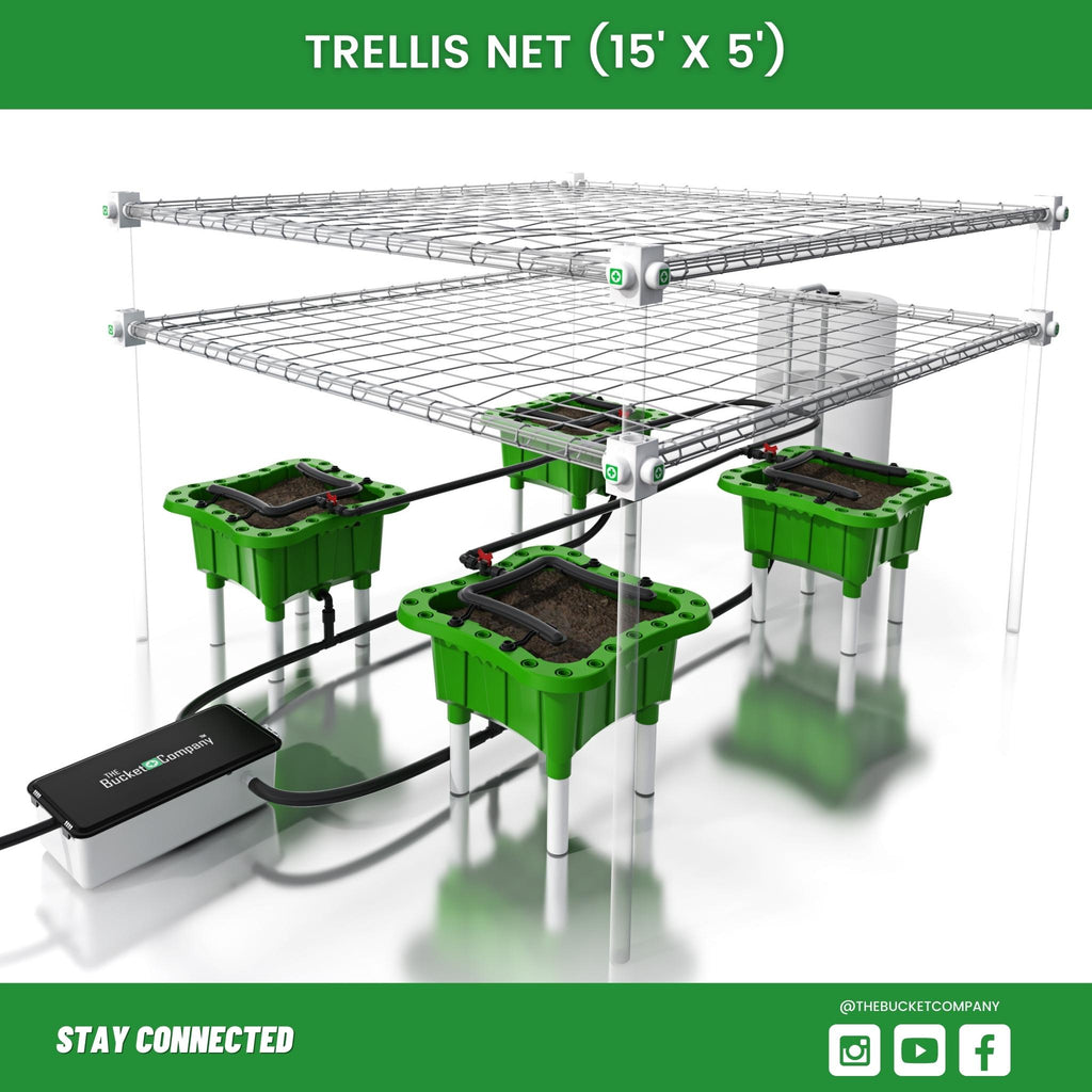 5 Gallon Trellis Net Plant Training 