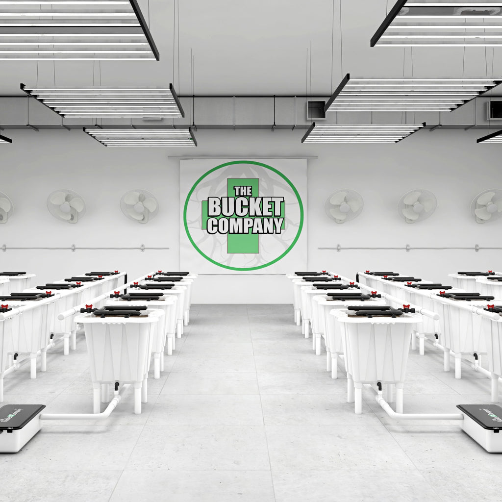 Medical Hydroponic Growing Systems