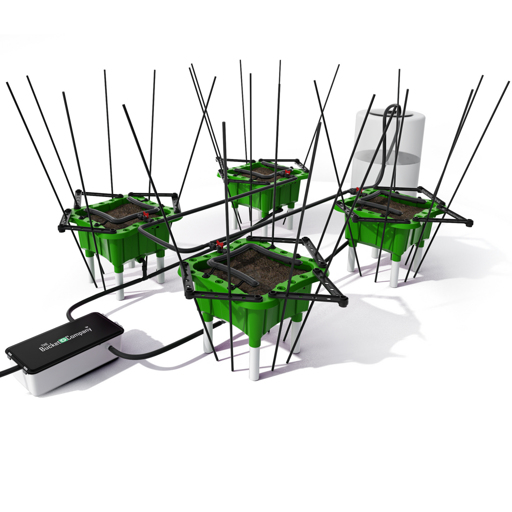 5 Gallon Stake Growers Kit