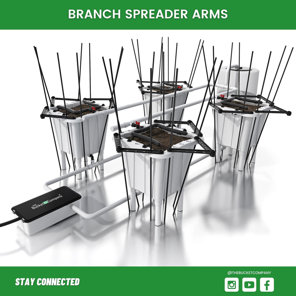 Branch Spreader Arms Plant Training 