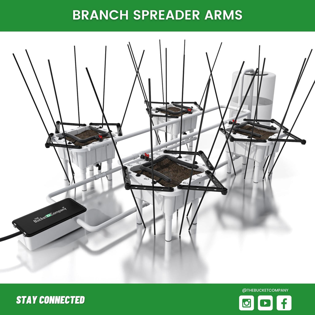 Branch Spreader Arms Plant Training